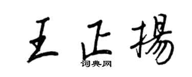 王正良王正揚行書個性簽名怎么寫