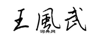 王正良王風武行書個性簽名怎么寫