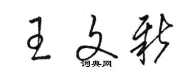 駱恆光王文新草書個性簽名怎么寫