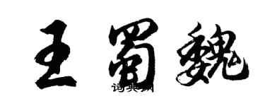 胡問遂王蜀魏行書個性簽名怎么寫