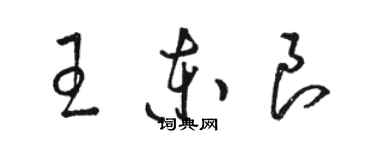 駱恆光王東良草書個性簽名怎么寫