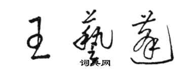 駱恆光王藝蓬草書個性簽名怎么寫