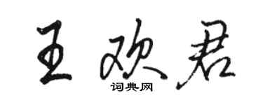 駱恆光王歡君行書個性簽名怎么寫