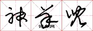 朱錫榮神羊兒草書怎么寫