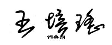 朱錫榮王培瑤草書個性簽名怎么寫