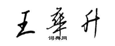 王正良王華升行書個性簽名怎么寫