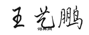 駱恆光王藝鵬行書個性簽名怎么寫