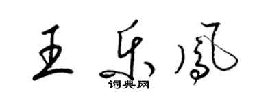 梁錦英王樂鳳草書個性簽名怎么寫