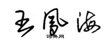 朱錫榮王鳳海草書個性簽名怎么寫