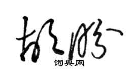 駱恆光胡盼草書個性簽名怎么寫
