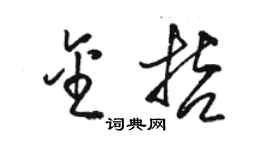 駱恆光金哲草書個性簽名怎么寫