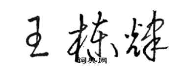 駱恆光王棟輝草書個性簽名怎么寫