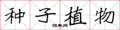 袁強種子植物楷書怎么寫