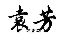 胡問遂袁芳行書個性簽名怎么寫
