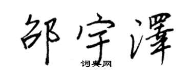 王正良邵宇澤行書個性簽名怎么寫
