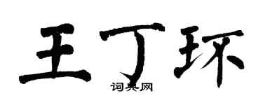 翁闓運王丁環楷書個性簽名怎么寫
