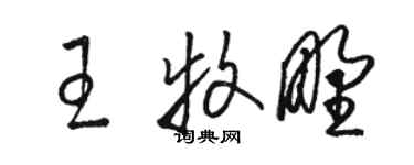 駱恆光王牧野草書個性簽名怎么寫