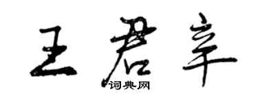 曾慶福王君辛行書個性簽名怎么寫