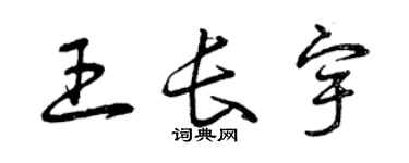 曾慶福王長宇草書個性簽名怎么寫