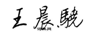 王正良王晨驍行書個性簽名怎么寫