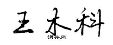 曾慶福王木科行書個性簽名怎么寫