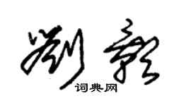 朱錫榮劉影草書個性簽名怎么寫