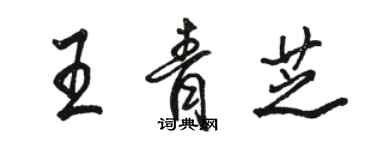 駱恆光王青芝行書個性簽名怎么寫