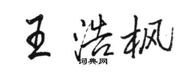 駱恆光王浩楓行書個性簽名怎么寫