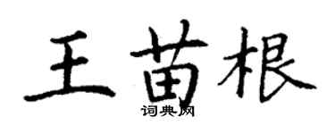 丁謙王苗根楷書個性簽名怎么寫