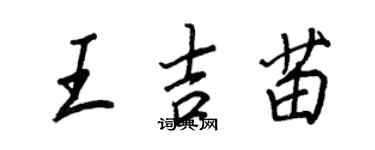王正良王吉苗行書個性簽名怎么寫
