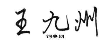 駱恆光王九州行書個性簽名怎么寫