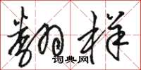 駱恆光翻樣草書怎么寫