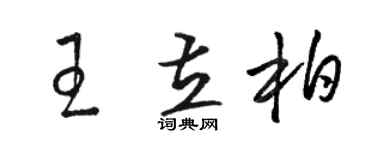 駱恆光王立柏草書個性簽名怎么寫