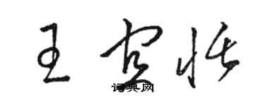 駱恆光王宜恬草書個性簽名怎么寫