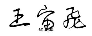 曾慶福王宙飛草書個性簽名怎么寫