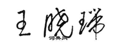 駱恆光王曉瑞草書個性簽名怎么寫