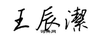 王正良王辰潔行書個性簽名怎么寫