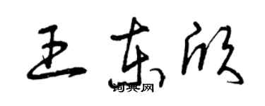 曾慶福王東欣草書個性簽名怎么寫