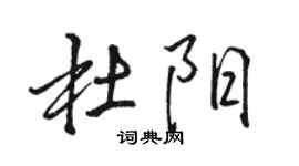 駱恆光杜陽行書個性簽名怎么寫