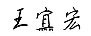 王正良王宜宏行書個性簽名怎么寫