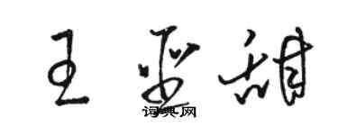 駱恆光王聖甜草書個性簽名怎么寫