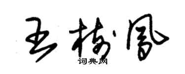 朱錫榮王樹鳳草書個性簽名怎么寫