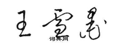 駱恆光王雪墨草書個性簽名怎么寫