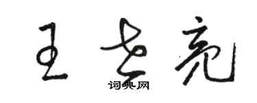 駱恆光王世亮草書個性簽名怎么寫