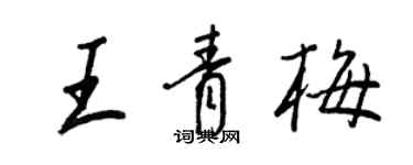 王正良王青梅行書個性簽名怎么寫