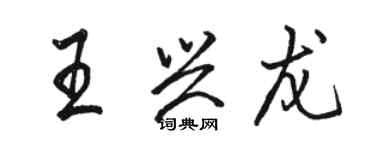 駱恆光王興龍行書個性簽名怎么寫