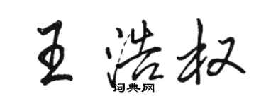 駱恆光王浩權行書個性簽名怎么寫