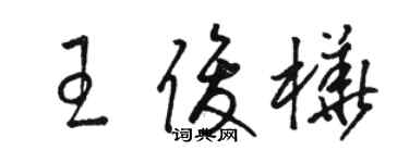 駱恆光王俊樺草書個性簽名怎么寫