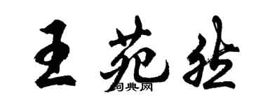 胡問遂王苑然行書個性簽名怎么寫