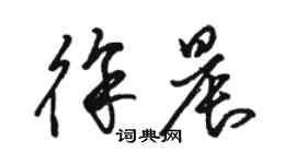 駱恆光徐晨草書個性簽名怎么寫